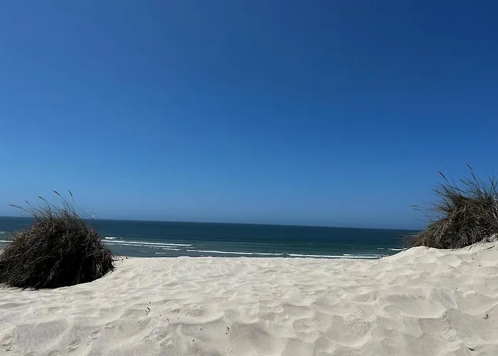 公寓 Encanto Dunas Aveiro *