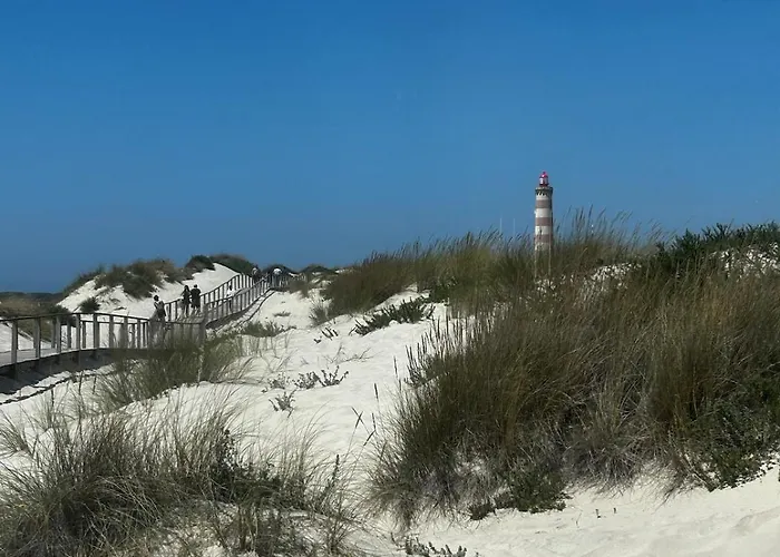 公寓 Encanto Dunas Aveiro 噶凡哈达纳扎雷